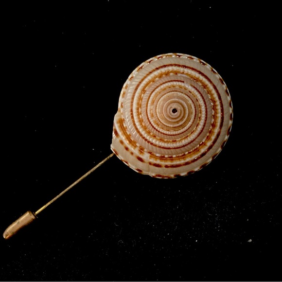 Miriam Haskell Vintage Nautilus Shell stick pin 3" - Picture 1 of 8